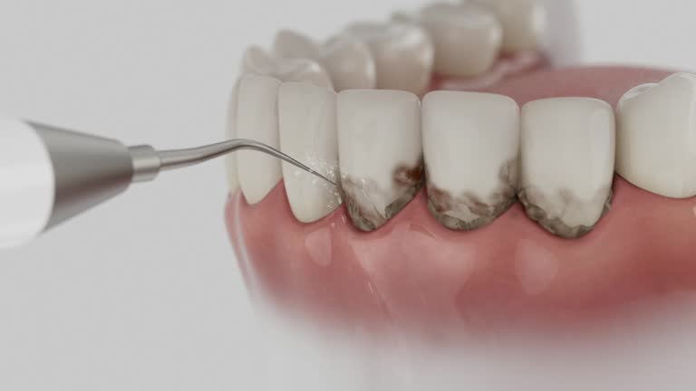 Reliable Dental contractor in Pitt County County, NC by Dentist Open Now